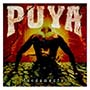 Puya -Fundamental